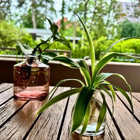Natural And Urban Living In Apartment