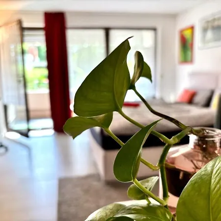 Natural And Urban Living In * Núremberg